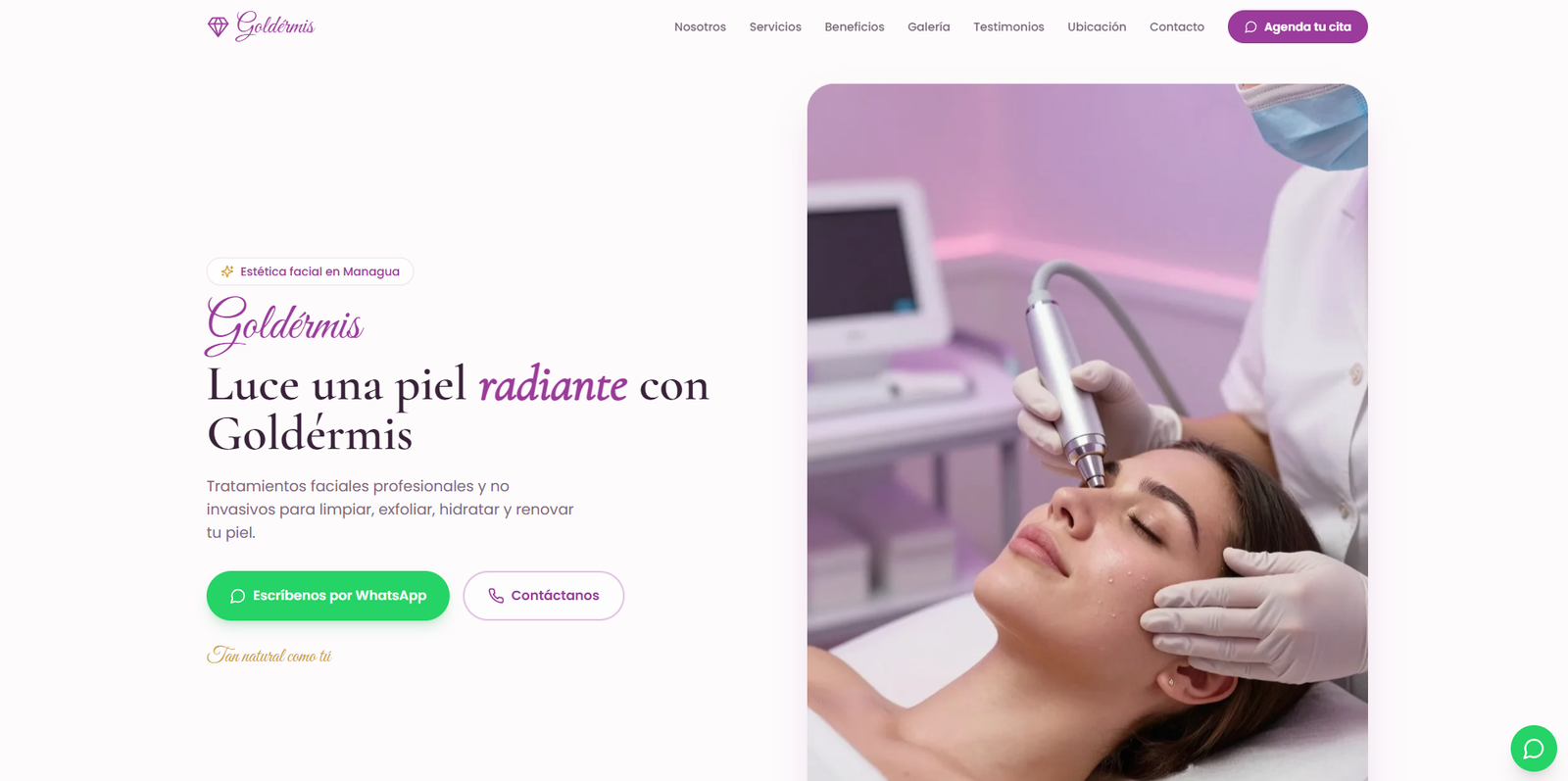 Vista de la página web de Goldérmis